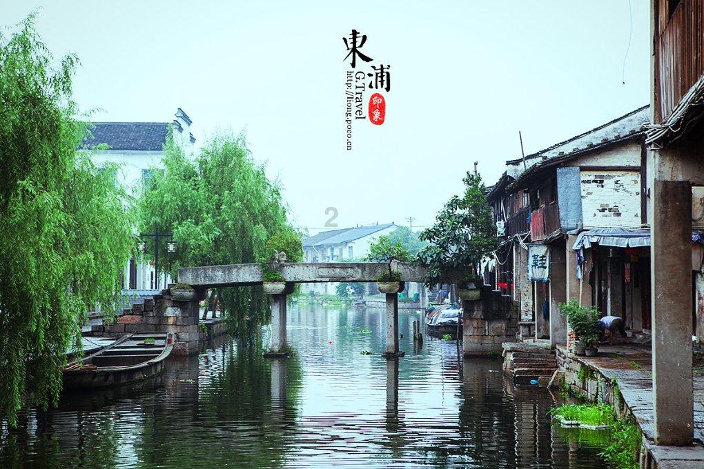 野性贵州 有问必答丨缺水休眠,鸟助传播,它还是一味药……